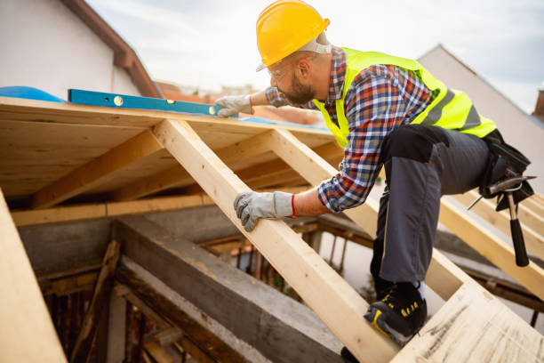 Professional Roofing Contractor in Rehobeth, AL